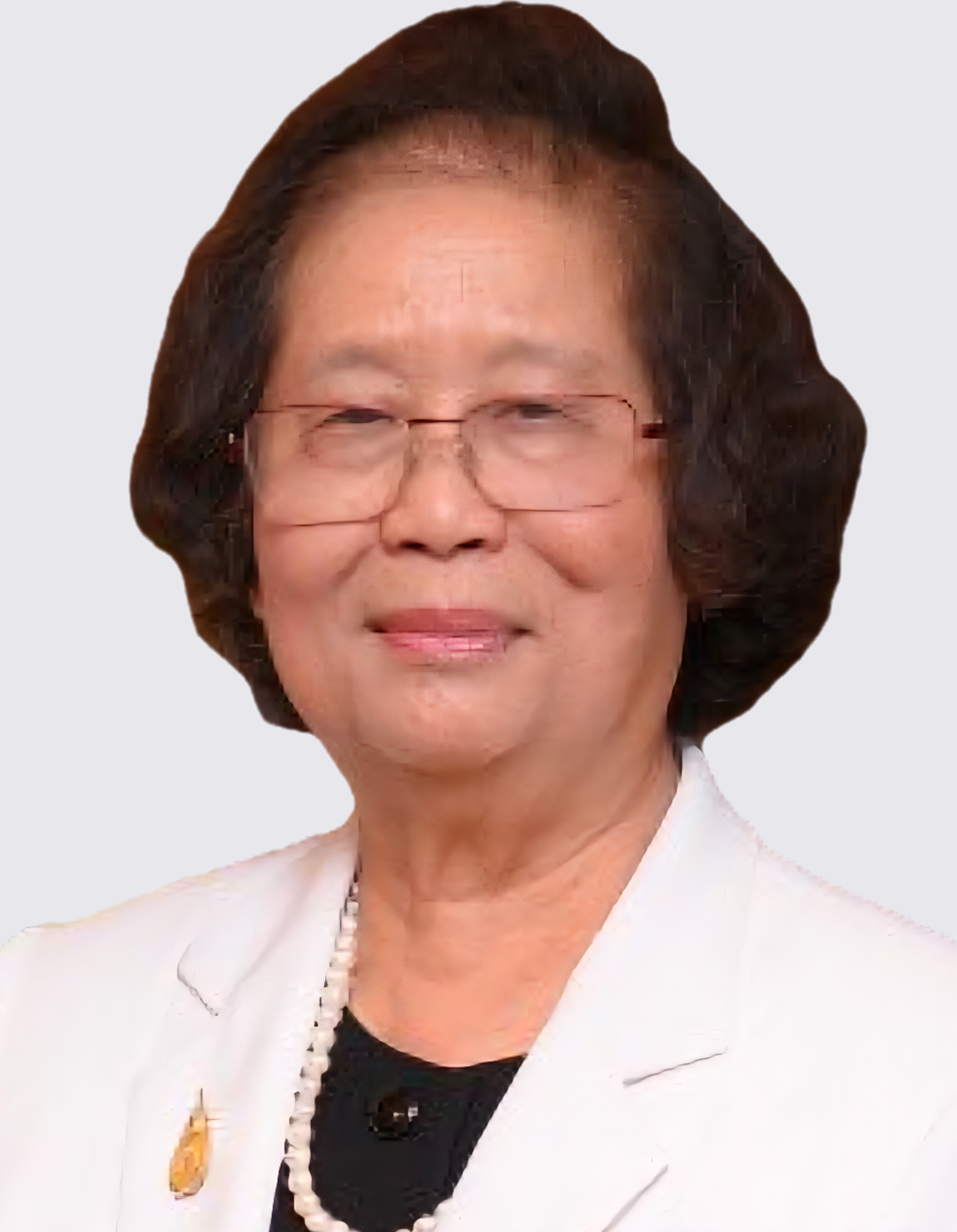 Professor Dr. Wichit Srisuphan