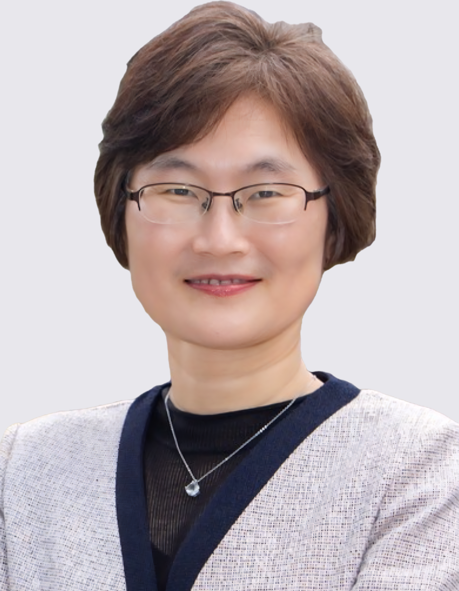 Professor Dr.Jung-Ah Lee
